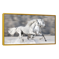 Caballos Blancos Corriendo
