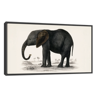 Historia De La Tierra Y La Naturaleza Animada Por Oliver Goldsmith