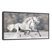 Caballos Blancos Corriendo