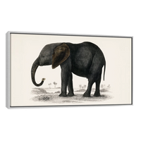 Historia De La Tierra Y La Naturaleza Animada Por Oliver Goldsmith