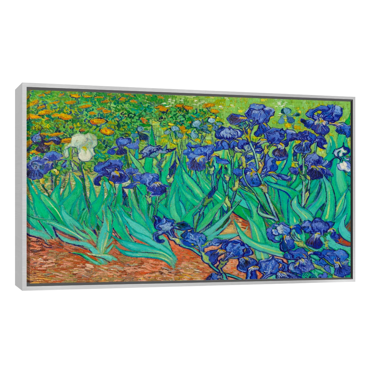 Arte Lirios Por Vincent Van Gogh
