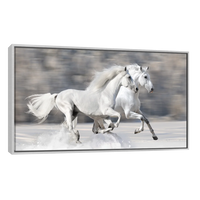 Caballos Blancos Corriendo
