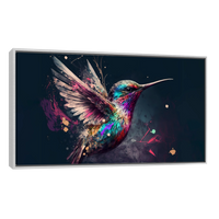 Colibri Colorido