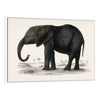 Historia De La Tierra Y La Naturaleza Animada Por Oliver Goldsmith