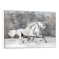 Caballos Blancos Corriendo