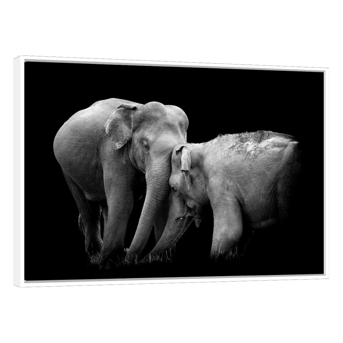 Frente a Frente