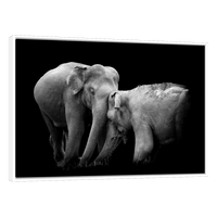 Frente a Frente