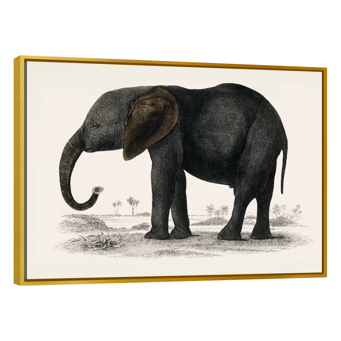 Historia De La Tierra Y La Naturaleza Animada Por Oliver Goldsmith