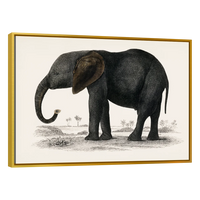 Historia De La Tierra Y La Naturaleza Animada Por Oliver Goldsmith