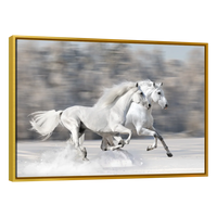 Caballos Blancos Corriendo