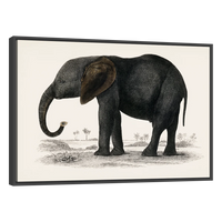 Historia De La Tierra Y La Naturaleza Animada Por Oliver Goldsmith