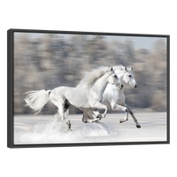 Caballos Blancos Corriendo