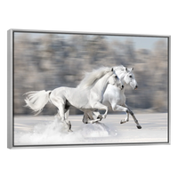 Caballos Blancos Corriendo
