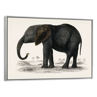 Historia De La Tierra Y La Naturaleza Animada Por Oliver Goldsmith