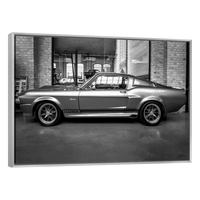 Shelby GT 500