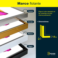Brochazo de Colores